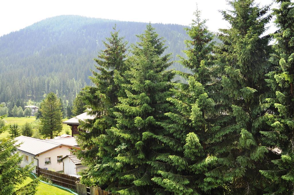 Studio Riedwiese Davos Pokój zdjęcie